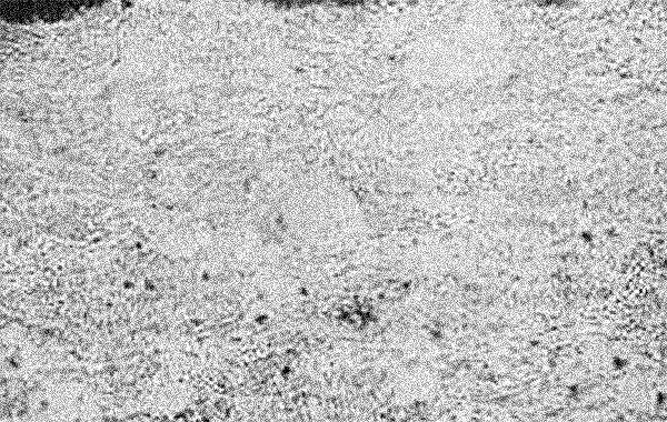 Revestimento de Níquel contra desgaste - RIJEZA